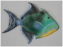 Triggerfish